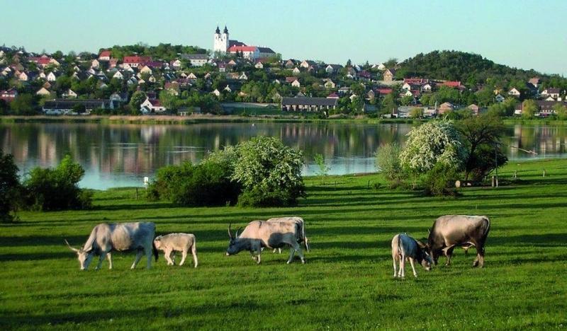 Marcelo Deluxe Apartment Tihany Zewnętrze zdjęcie